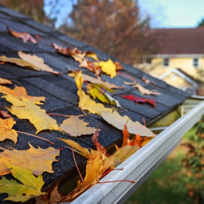 Leaf Removal